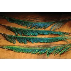 Peacock Sword-4 Pack - Your Premium Fishing Gear Store Rods Lines Baits Accessories* Hot