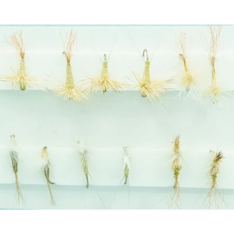 PMD Dry Assortment - Your Premium Fishing Gear Store Rods Lines Baits Accessories* Store