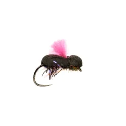 Procter Target Beetle Pink Barbless - Your Premium Fishing Gear Store Rods Lines Baits Accessories* Store