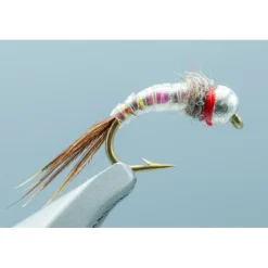 Rainbow Warrior - 1 Doz. - Your Premium Fishing Gear Store Rods Lines Baits Accessories* Best Sale