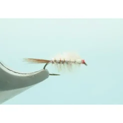 Ray Charles Tan #16 - Your Premium Fishing Gear Store Rods Lines Baits Accessories* Shop