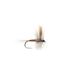 Red Quill - Your Premium Fishing Gear Store Rods Lines Baits Accessories* Fashion