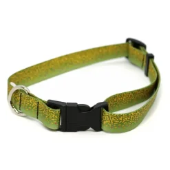 Rep Your Water Brook Trout Skin Dog Collar Large - Your Premium Fishing Gear Store Rods Lines Baits Accessories* Fashion