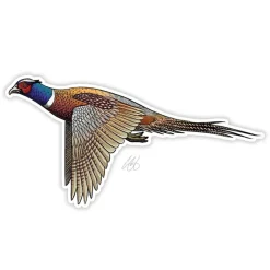 Ringneck Pheasant Sticker - Your Premium Fishing Gear Store Rods Lines Baits Accessories* Sale