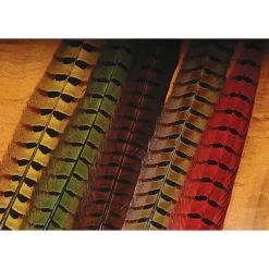 Ringneck Pheasant Tail Feathers - Your Premium Fishing Gear Store Rods Lines Baits Accessories* Best Sale