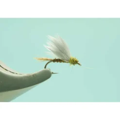 RS2 Olive #18 - Your Premium Fishing Gear Store Rods Lines Baits Accessories* Shop