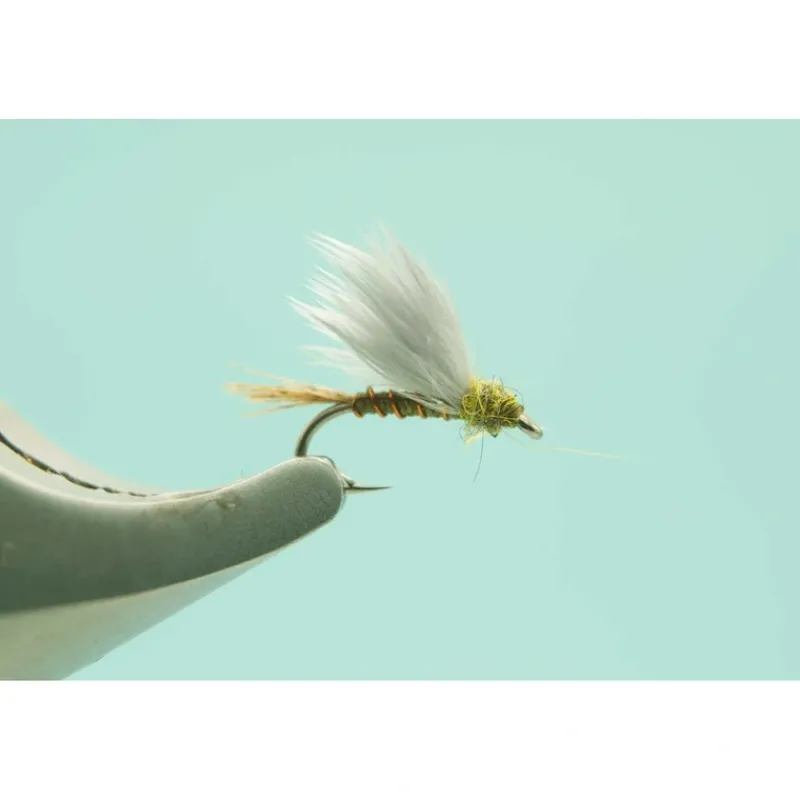 RS2 Olive #18 - Your Premium Fishing Gear Store Rods Lines Baits Accessories* Shop