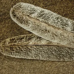 Select Ozark Oak Mottled Turkey Quill - Your Premium Fishing Gear Store Rods Lines Baits Accessories* Shop