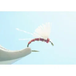 Serendipity Red - 1 Doz. - Your Premium Fishing Gear Store Rods Lines Baits Accessories* New