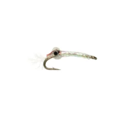 Shafer's Living Mysis - Your Premium Fishing Gear Store Rods Lines Baits Accessories* Sale