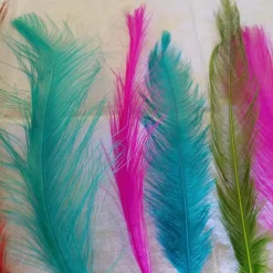 Siskiyou Aviary Rhea - Your Premium Fishing Gear Store Rods Lines Baits Accessories* Hot