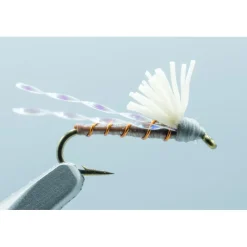 Skinny Dip Brown - 1 Doz. - Your Premium Fishing Gear Store Rods Lines Baits Accessories* Sale