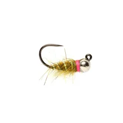 Sob-Czech Olive Barbless - Your Premium Fishing Gear Store Rods Lines Baits Accessories* Flash Sale