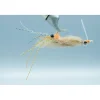 Spawning Shrimp Root Beer #1/0 - Your Premium Fishing Gear Store Rods Lines Baits Accessories* Store