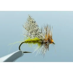 Spent Partridge Caddis Olive #16 - Your Premium Fishing Gear Store Rods Lines Baits Accessories* Store