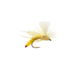 Spotlight Yellow Sally Stone - Your Premium Fishing Gear Store Rods Lines Baits Accessories* Best