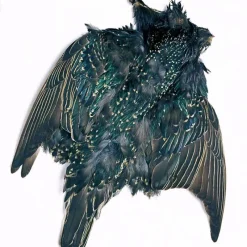 Starling Skin - Your Premium Fishing Gear Store Rods Lines Baits Accessories* Flash Sale