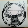 Statriot Designs High Wide Muley Sticker - Your Premium Fishing Gear Store Rods Lines Baits Accessories* Online