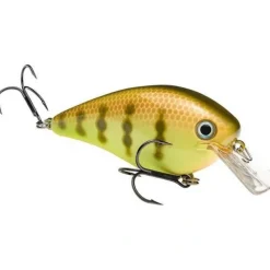 Strike King KVD - Your Premium Fishing Gear Store Rods Lines Baits Accessories* Discount