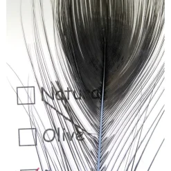 Stripped Peacock Eye - Your Premium Fishing Gear Store Rods Lines Baits Accessories* Sale