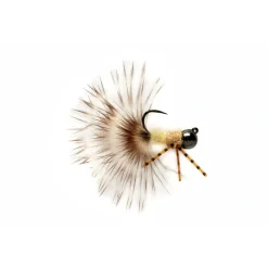 Swimming Drake Nymph Eastern Green Drake Barbless - Your Premium Fishing Gear Store Rods Lines Baits Accessories* Cheap