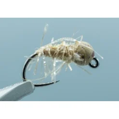 TBH Scud Muffin Tan #14 - Your Premium Fishing Gear Store Rods Lines Baits Accessories* New