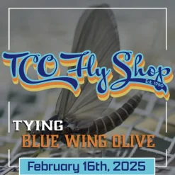 Fly Fishing^ TCO Fly Tying Class: Blue Wing Olive Life Cycle - State College - Your Premium Fishing Gear Store Rods Lines Baits Accessories