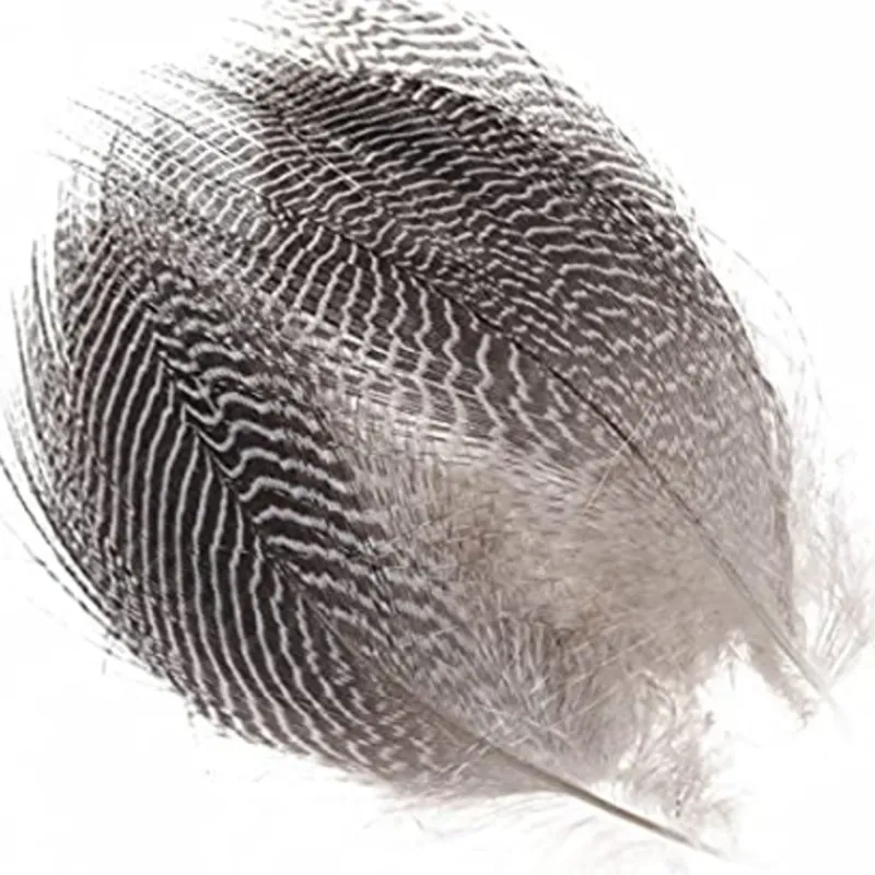 Bait^ TEAL BARRED FLANK - Your Premium Fishing Gear Store Rods Lines Baits Accessories