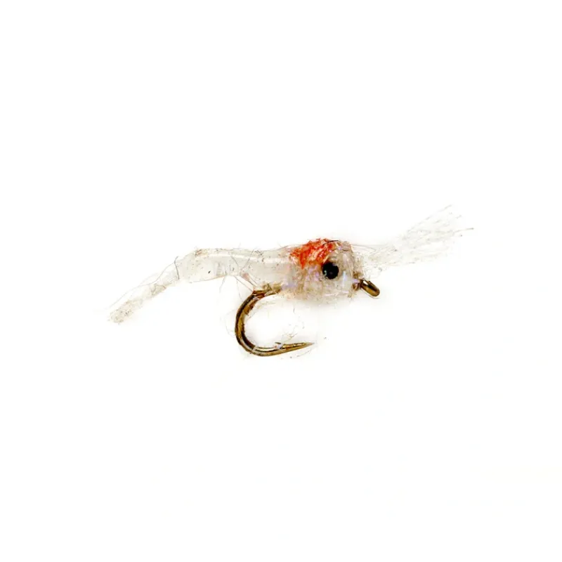 Fly Fishing^ Tim's Mysis Shrimp White - Your Premium Fishing Gear Store Rods Lines Baits Accessories