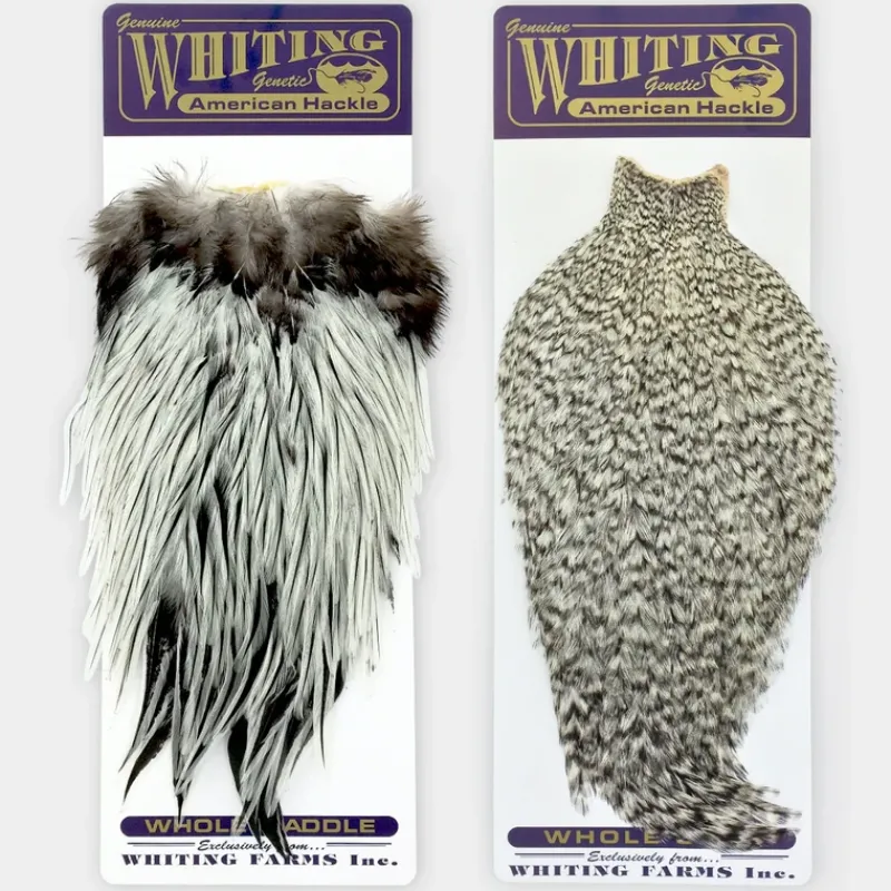 Fly Fishing^ Whiting American Rooster Cape - Your Premium Fishing Gear Store Rods Lines Baits Accessories