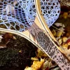Fly Fishing^ XL 18"x14" - Brown Trout Engraved - Classic Fly Fishing Traditional Landing Net - Your Premium Fishing Gear Store Rods Lines Baits Accessories